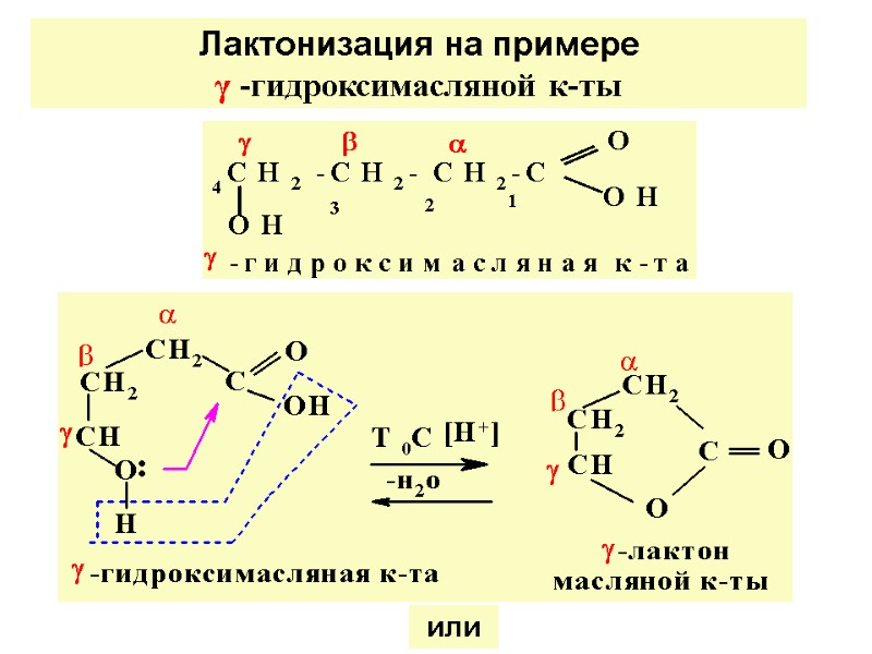 или Лактонизация на примере  γ -гидроксимасляной к-ты